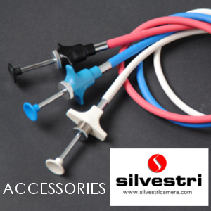 aqccessories silvestri