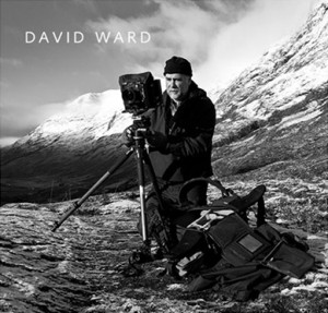 david-ward